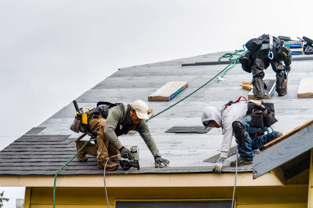 Professional Emergency Roof Repair technician working in Warm Springs, MT